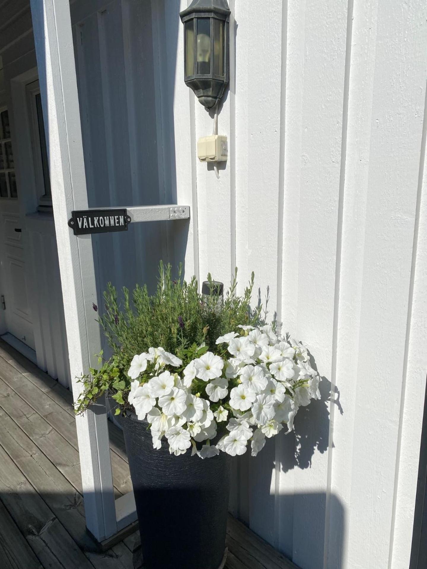 Studio 51 Oergryte Göteborg Eksteriør billede